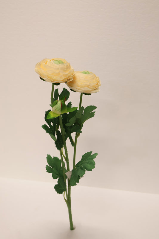 RANUNCULUS — 19.3" (49 cm)