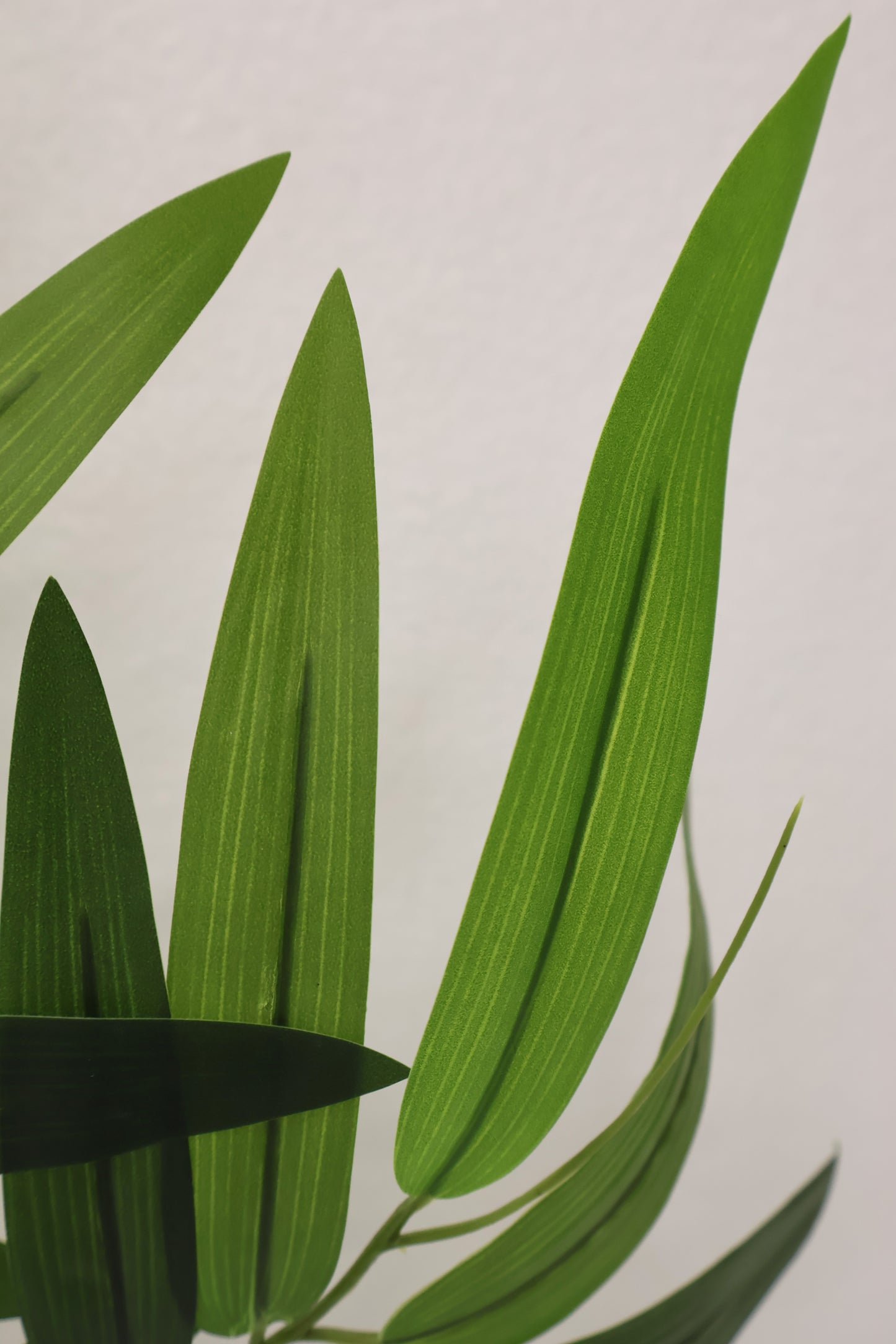 LARGE BAMBOO LEAF — 24" (60 cm)