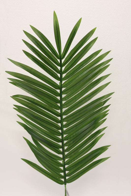 ARECA PALM SINGLE LEAF — 41.3" × 27.6" × 15.4" (105 × 70 × 39 cm)