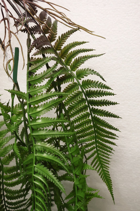 LADY FERN VINE (ATHYRIUM FILIX-FEMINA) — 45" (114 cm)