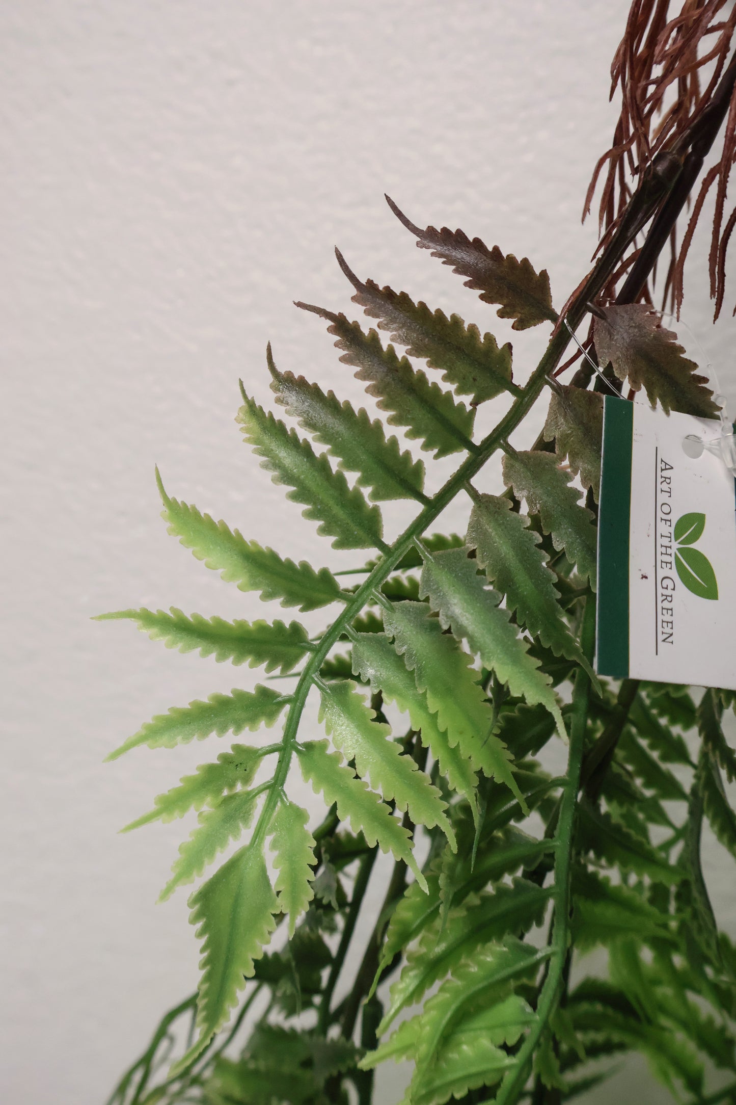AUTUMN FERN (SMALL LEAF TYPE) — 42" (107 cm)