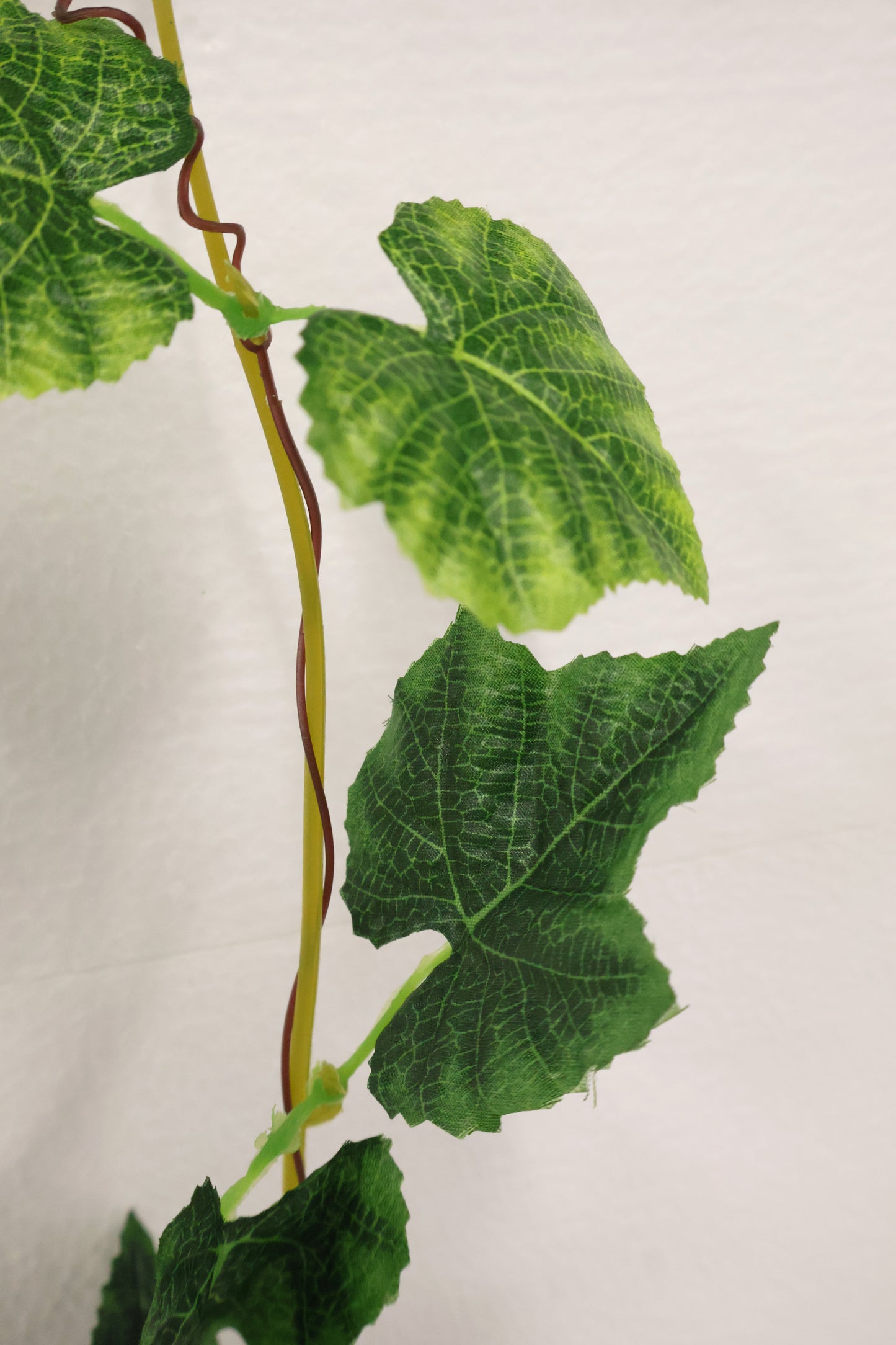 GRAPE IVY — 108.3" (275 cm)