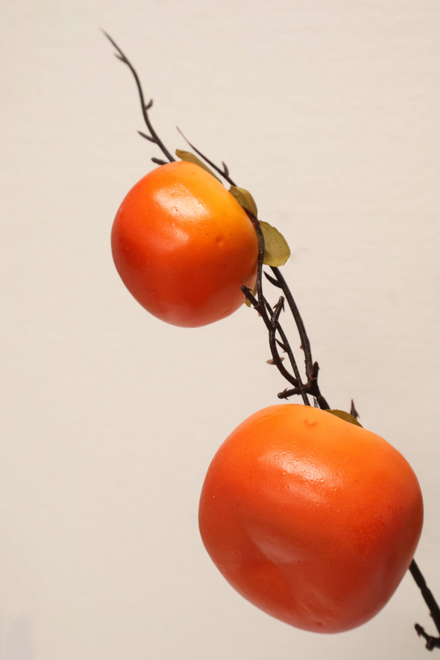 PERSIMMON — 35.4" (90 cm)