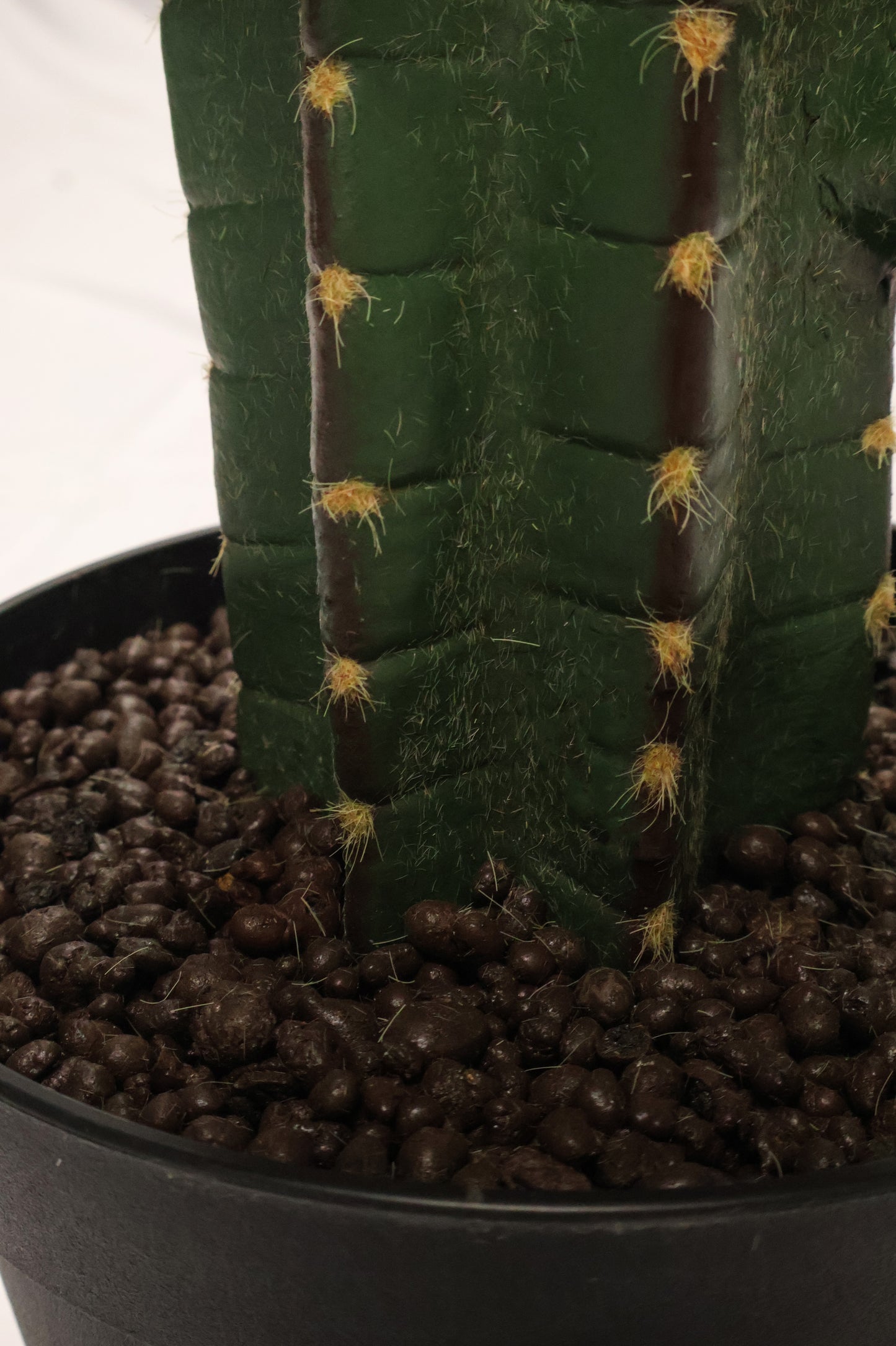 CEREUS CACTUS — 53.1" (135 cm)