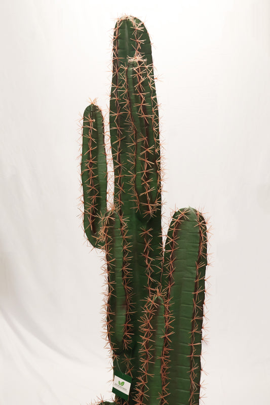 CEREUS CACTUS — 76.8" × 15.7" (195 × 40 cm)