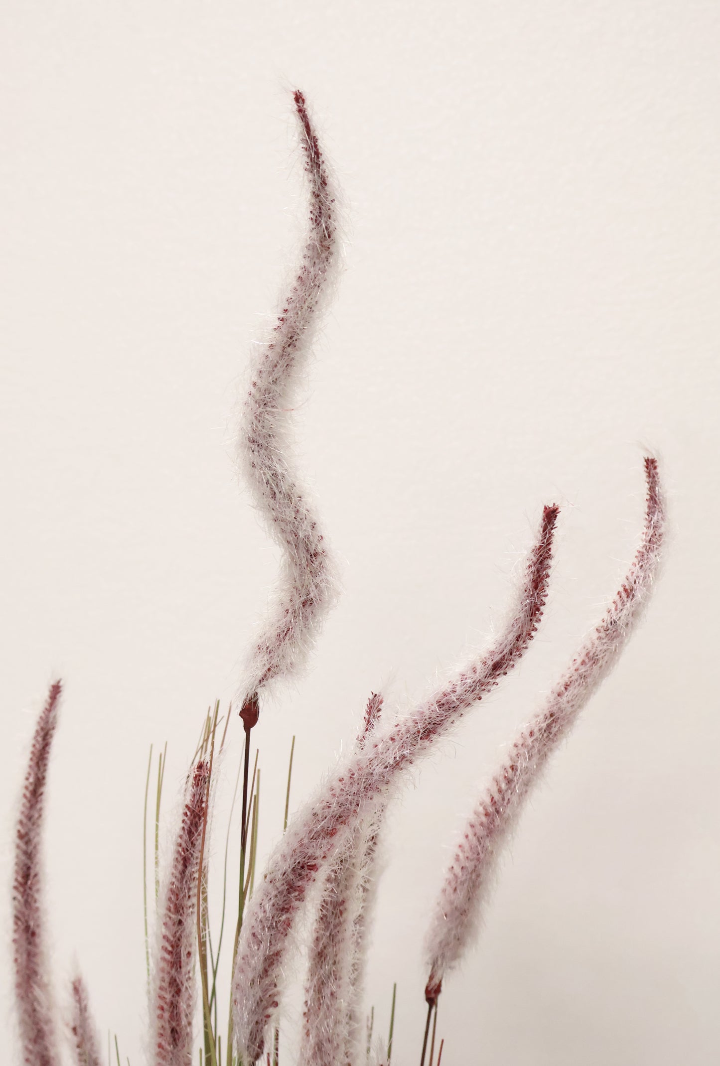 ORNAMENTAL GRASS STEM — 39.8" (101 cm)