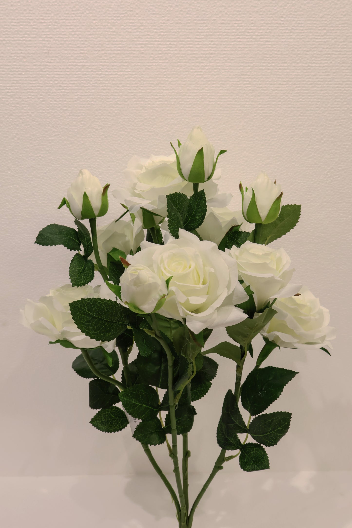 ROSE BUSH — 21.7" (55 cm)