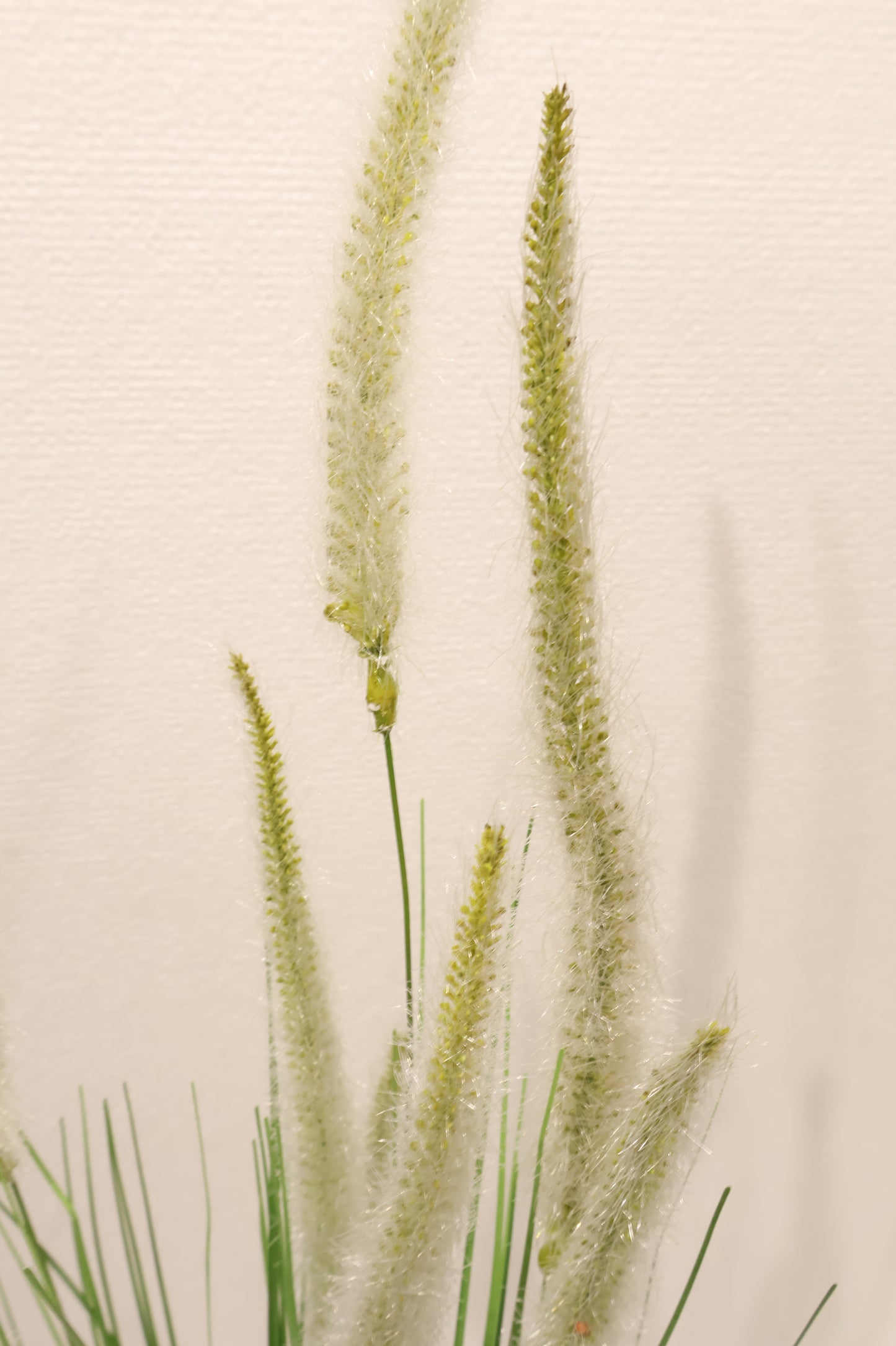 ORNAMENTAL GRASS STEM — 39.8" (101 cm)