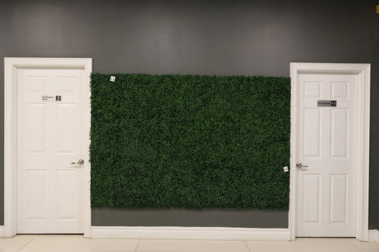 GREEN WALL — BOXWOOD PANEL — 20" × 20" (51 × 51 cm)