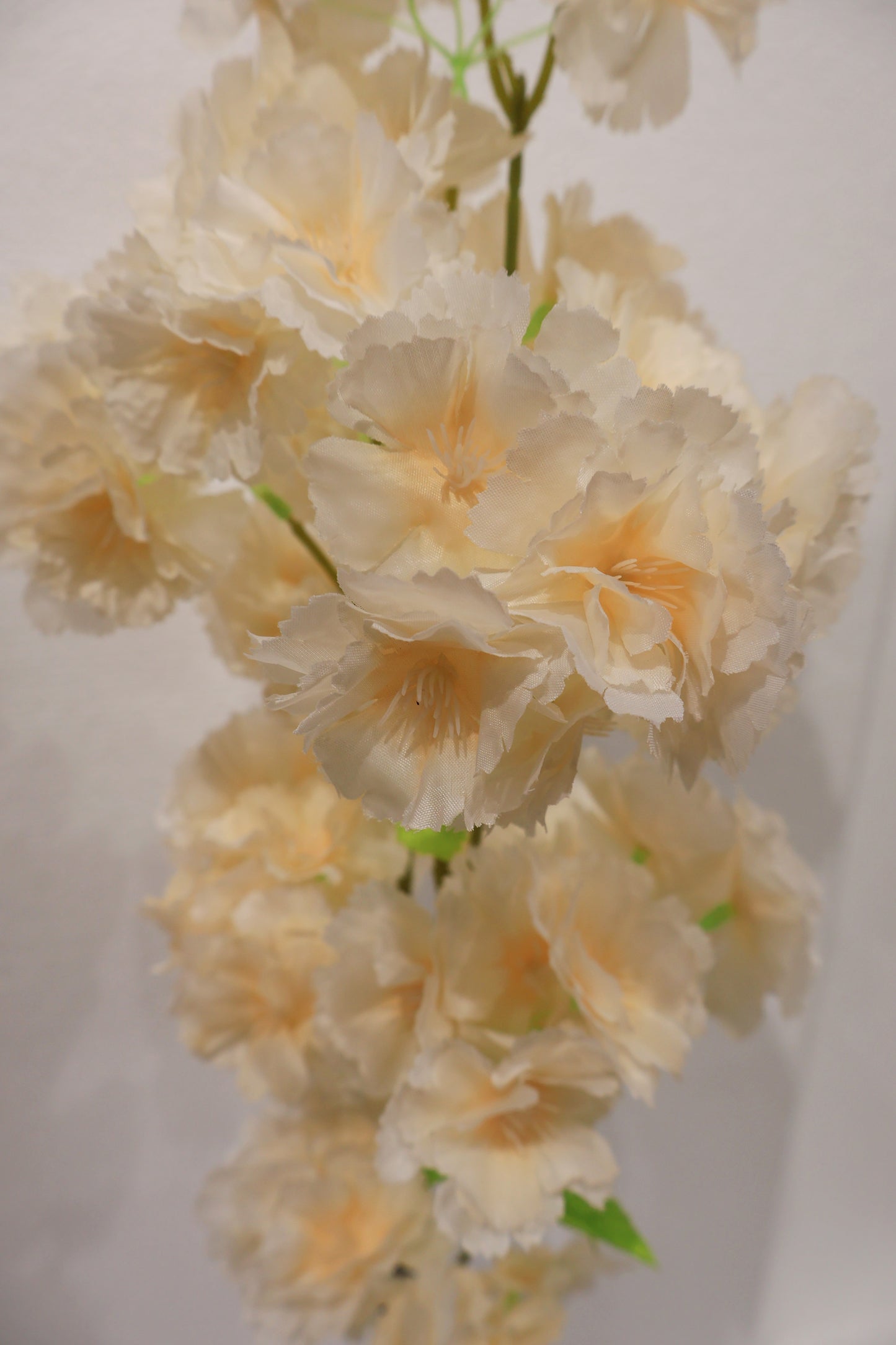 CHERRY BLOSSOM — 37.8" (96 cm)