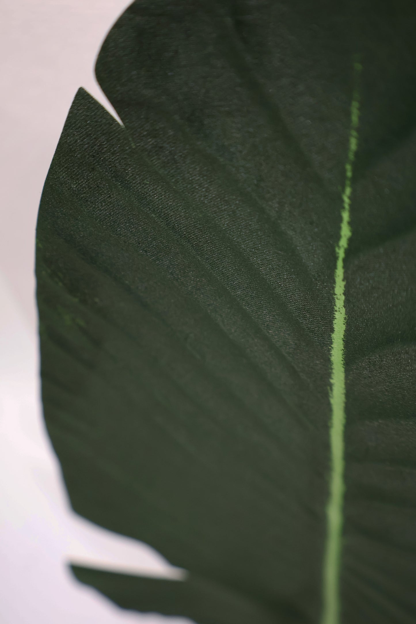 BIRD OF PARADISE SINGLE LEAF — 26.8" (68 cm)