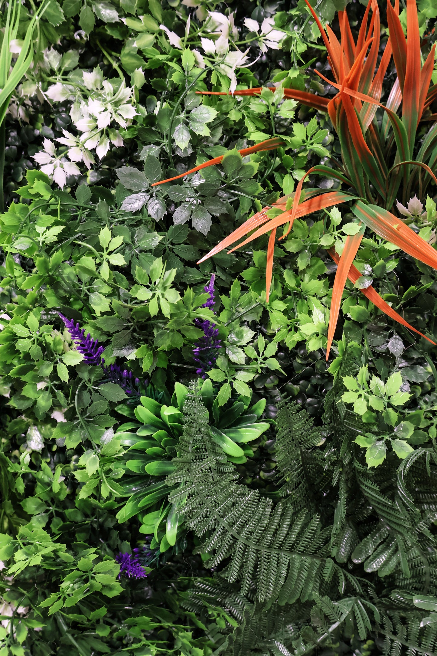 GREEN WALL — ORANGE NOTE — 40" × 40" (102 × 102 cm)