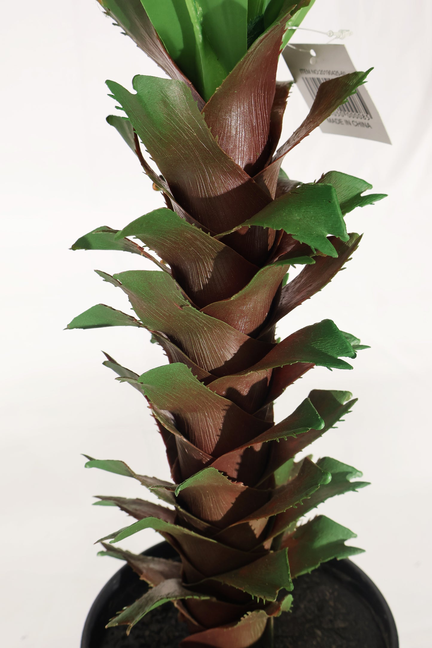 SOLID GREEN DRACAENA — 39.4" (100 cm)