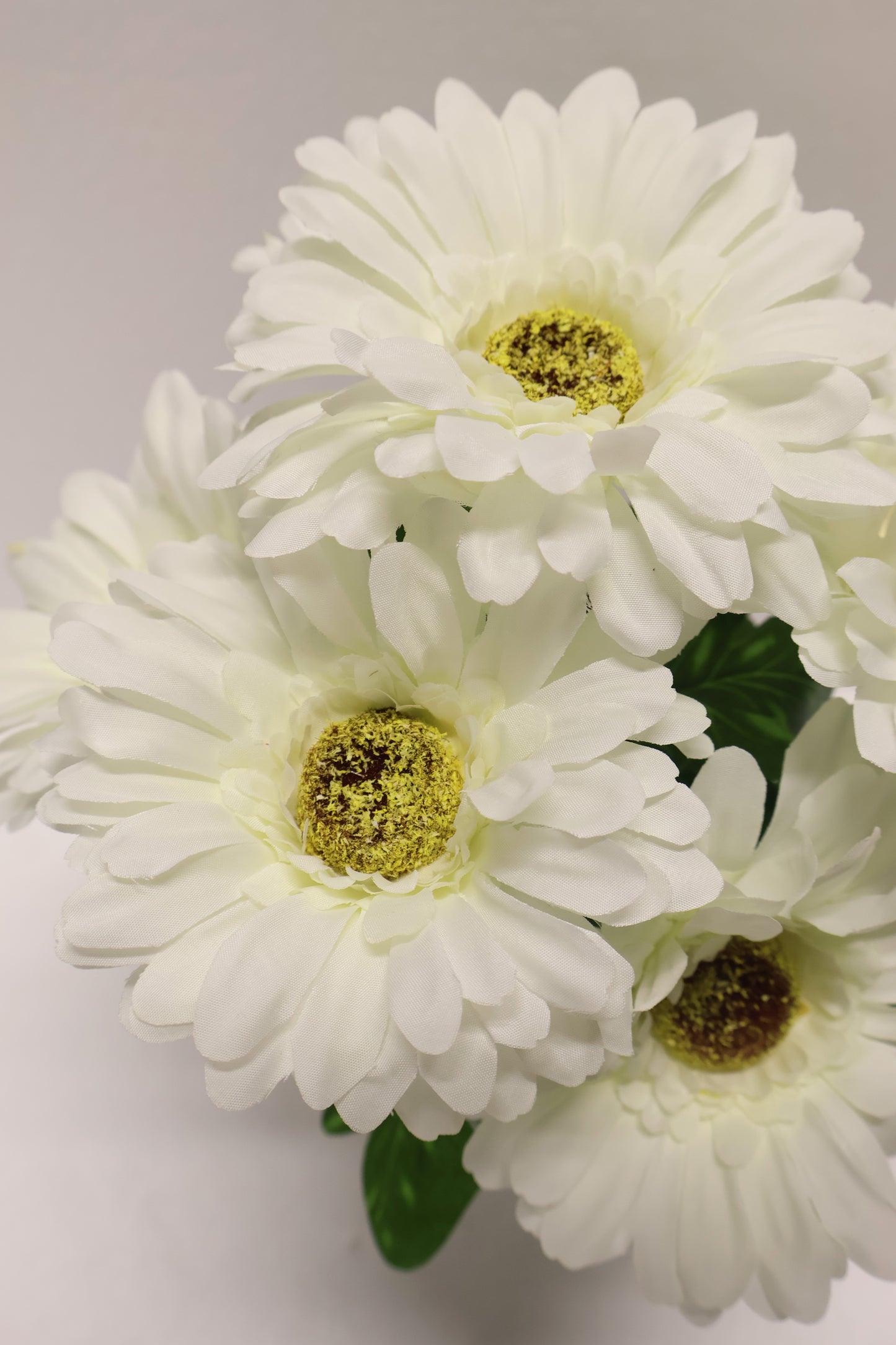 GERBERA — 15.7" (40 cm)