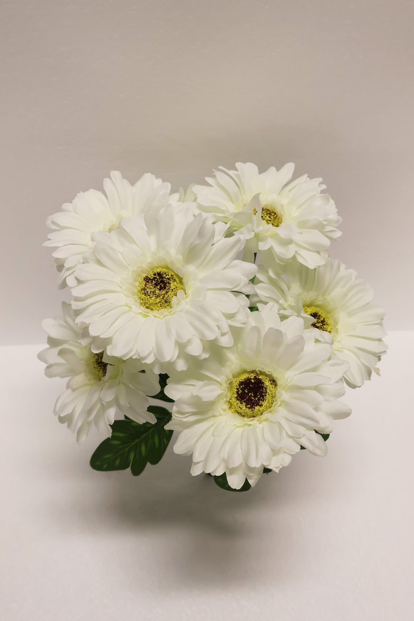 GERBERA — 15.7" (40 cm)