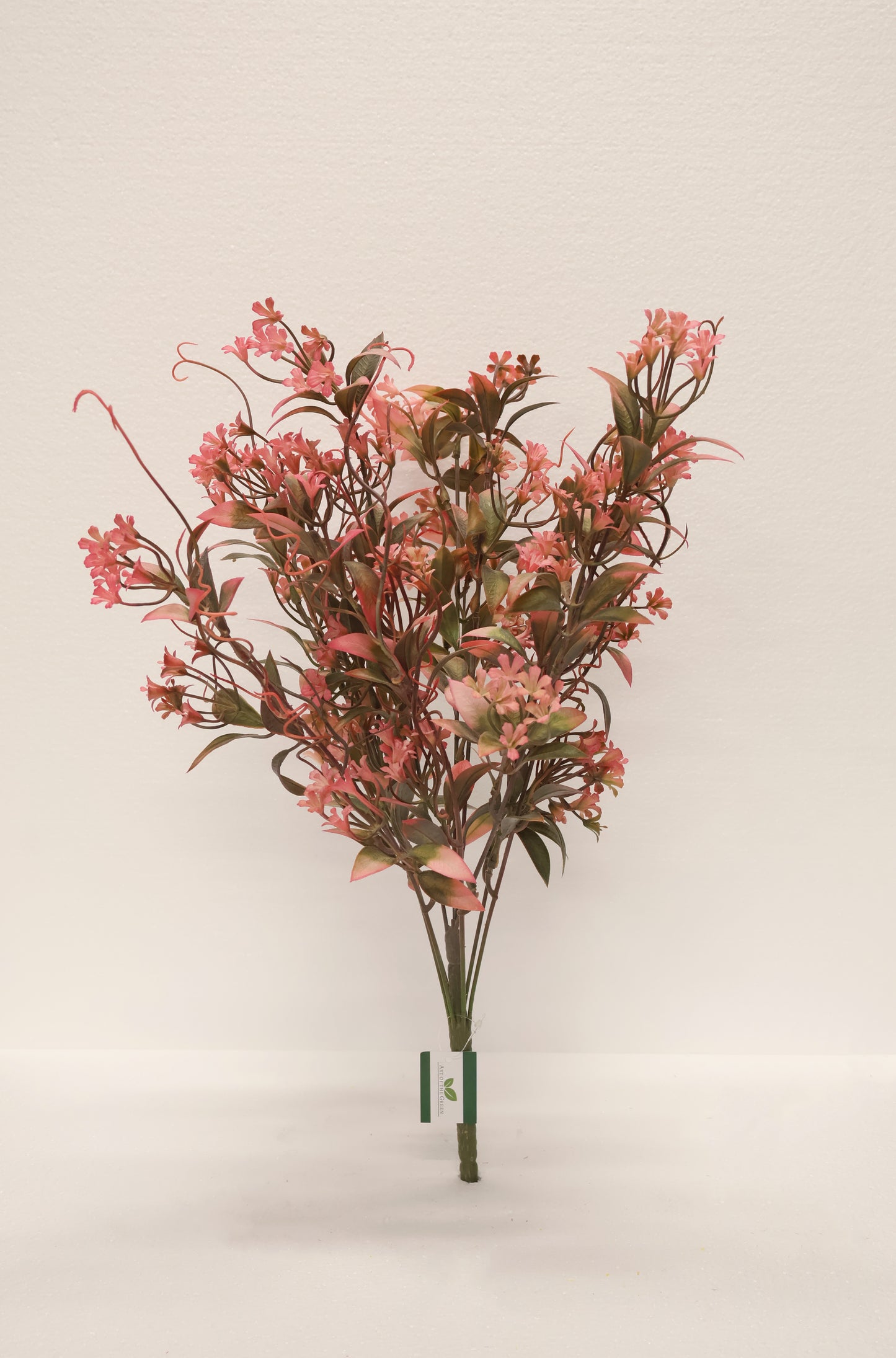 CUPHEA STRIGULOSA SPRAY — 22" (56 cm)