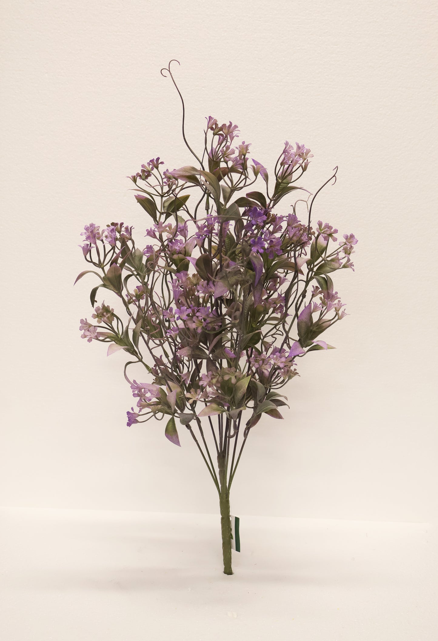 CUPHEA STRIGULOSA SPRAY — 22" (56 cm)
