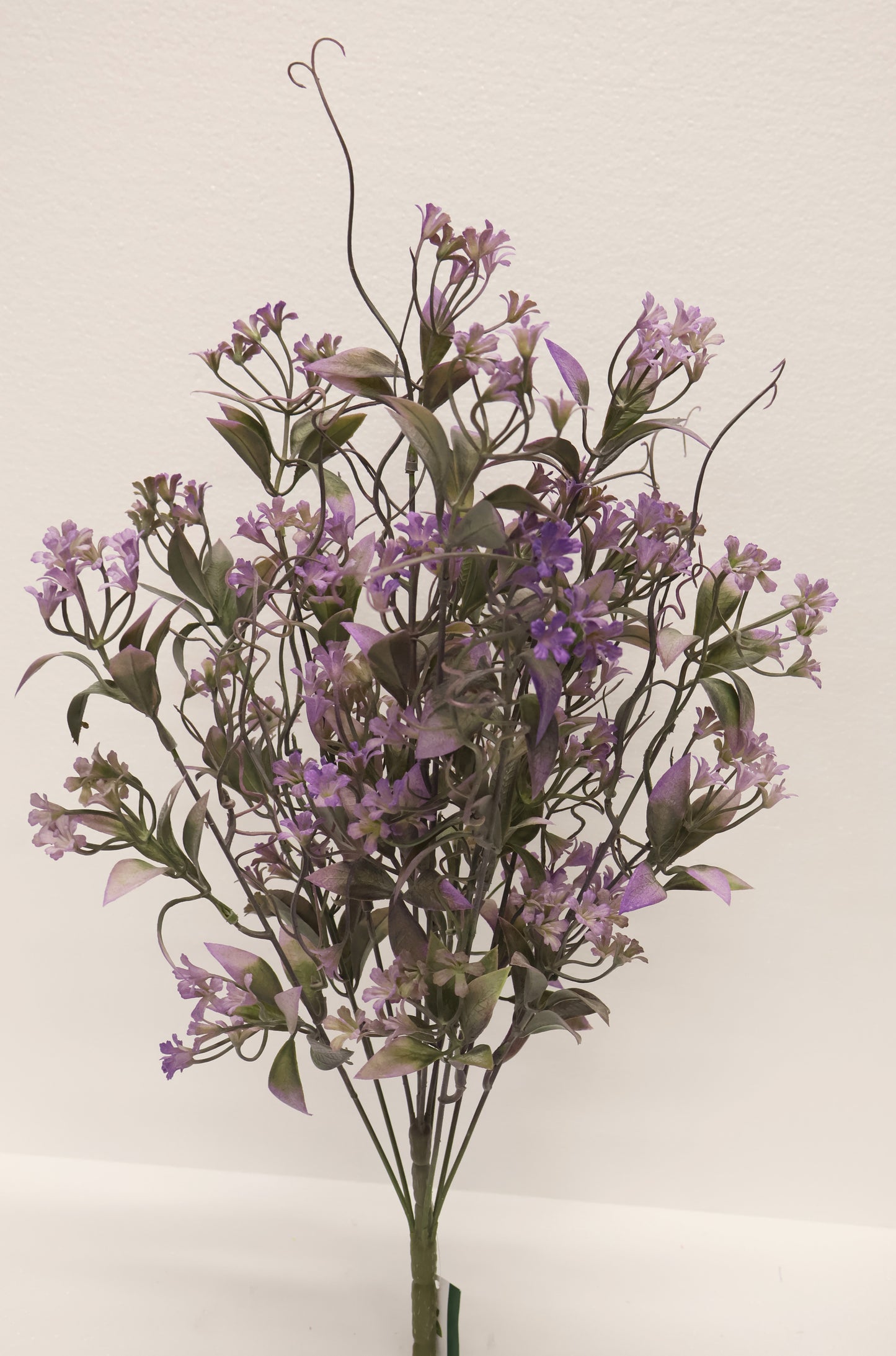 CUPHEA STRIGULOSA SPRAY — 22" (56 cm)