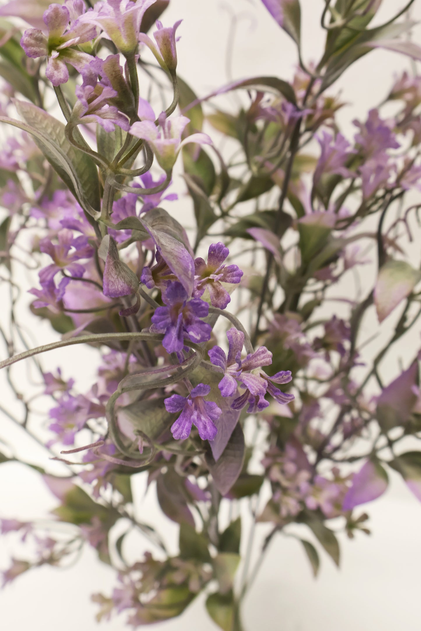 CUPHEA STRIGULOSA SPRAY — 22" (56 cm)