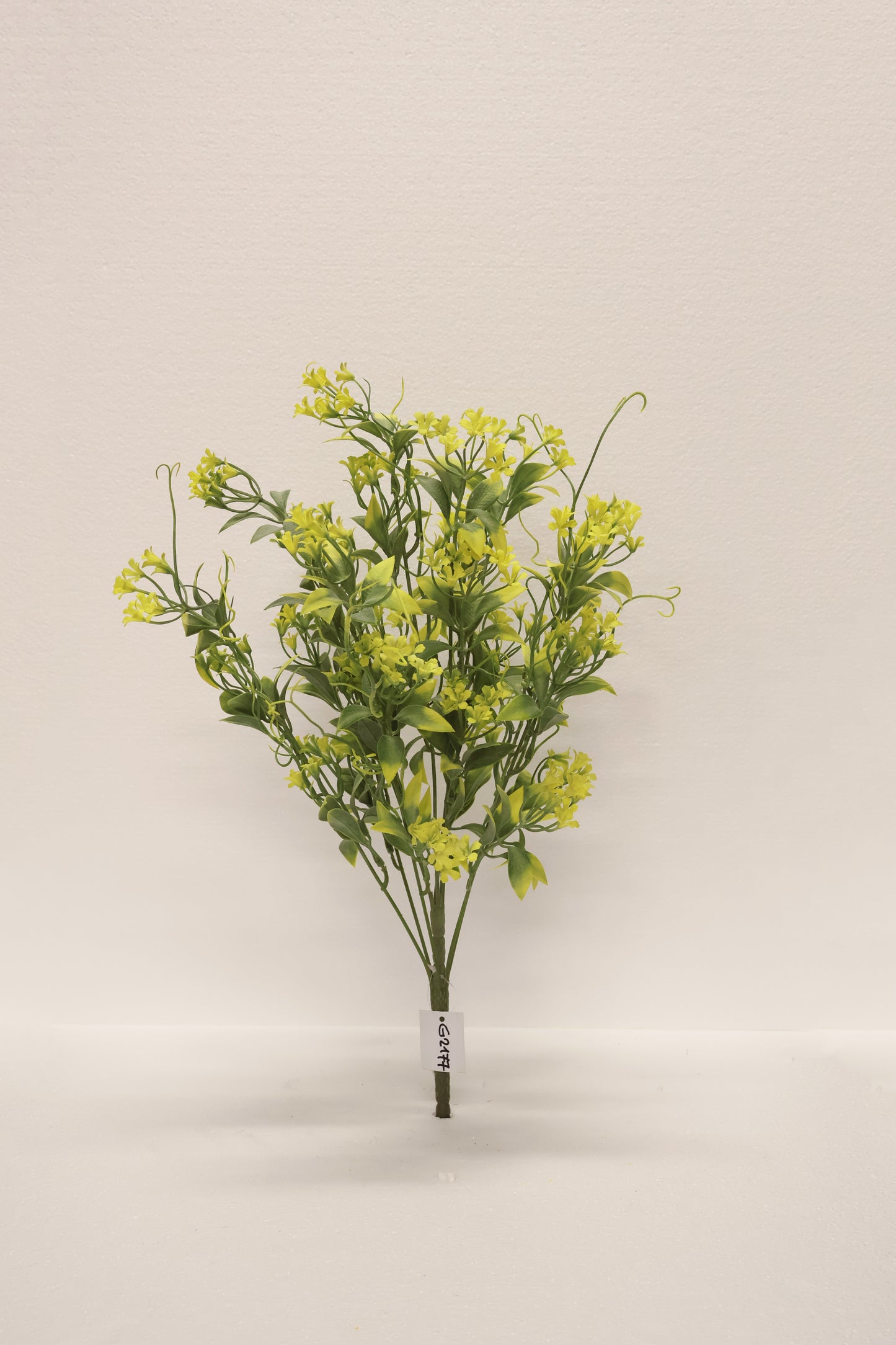 CUPHEA STRIGULOSA SPRAY — 22" (56 cm)