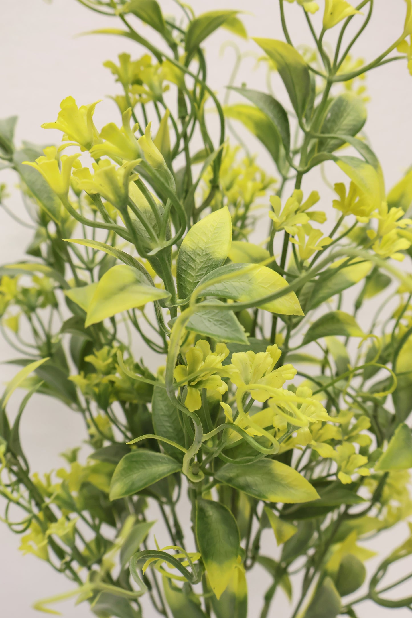 CUPHEA STRIGULOSA SPRAY — 22" (56 cm)