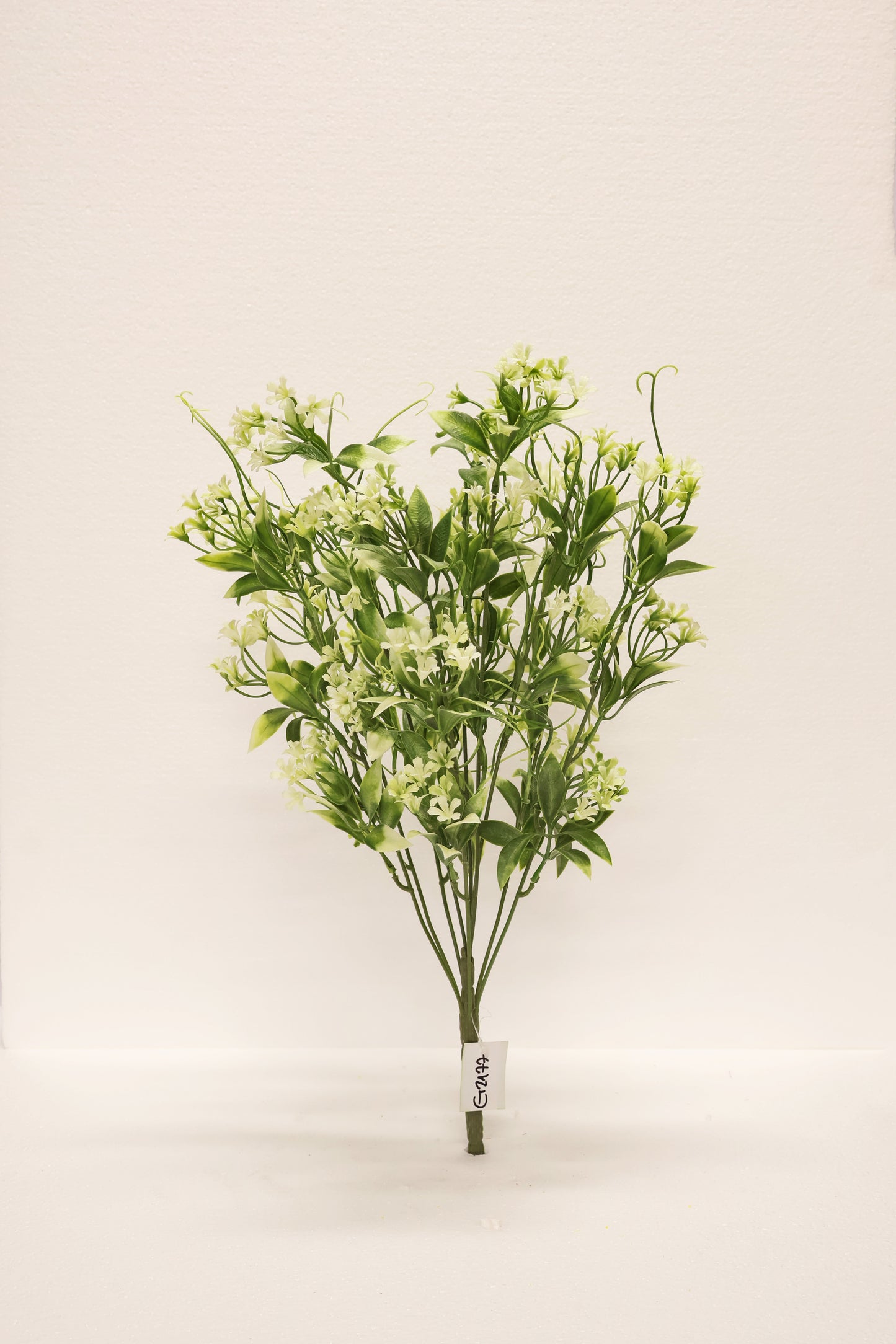 CUPHEA STRIGULOSA SPRAY — 22" (56 cm)
