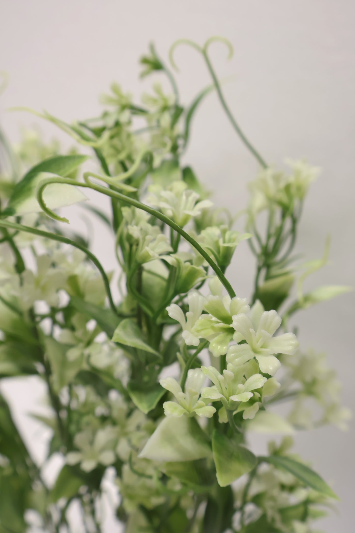 CUPHEA STRIGULOSA SPRAY — 22" (56 cm)