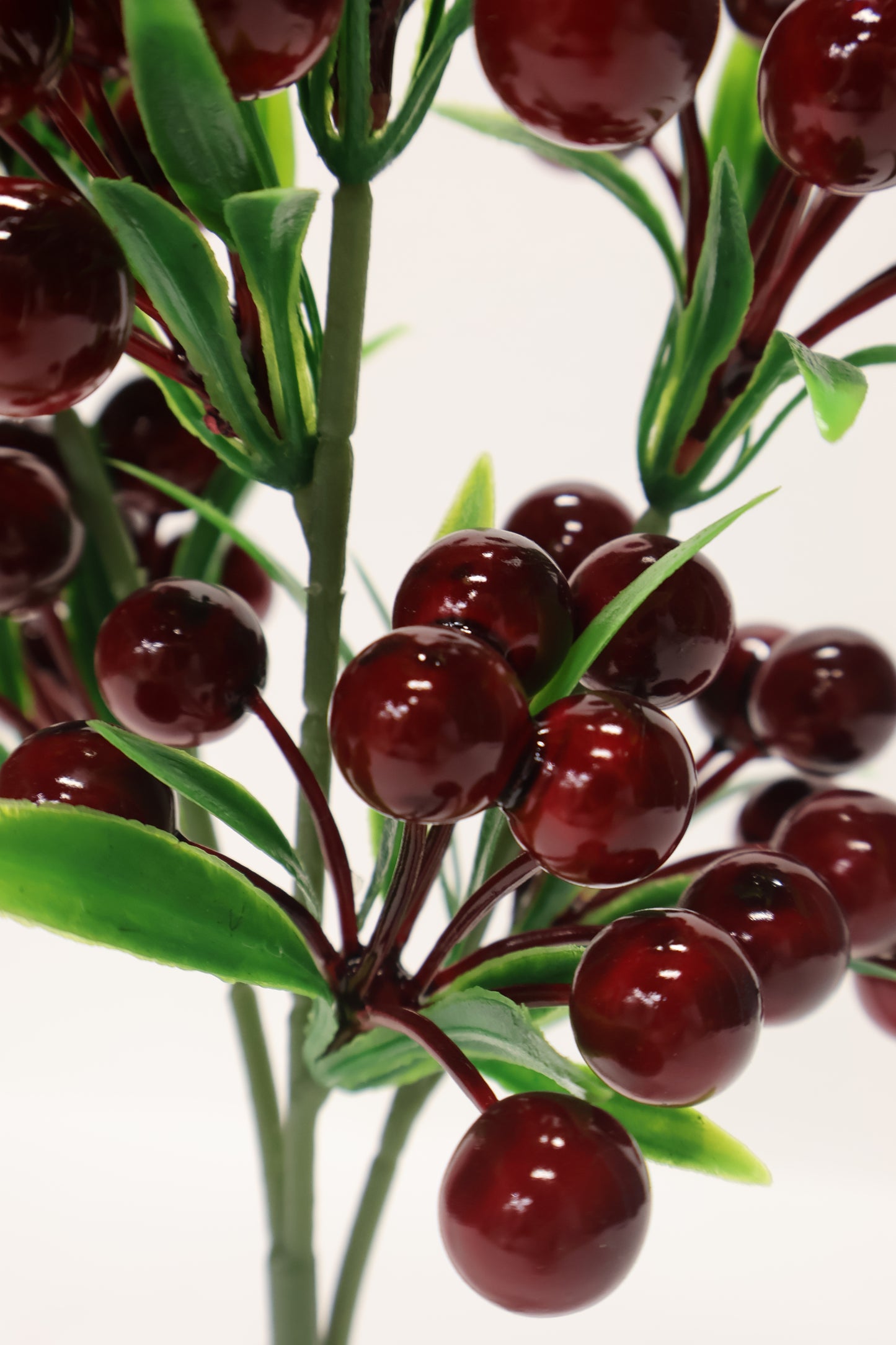 CHERRY — 13.4" (34 cm)