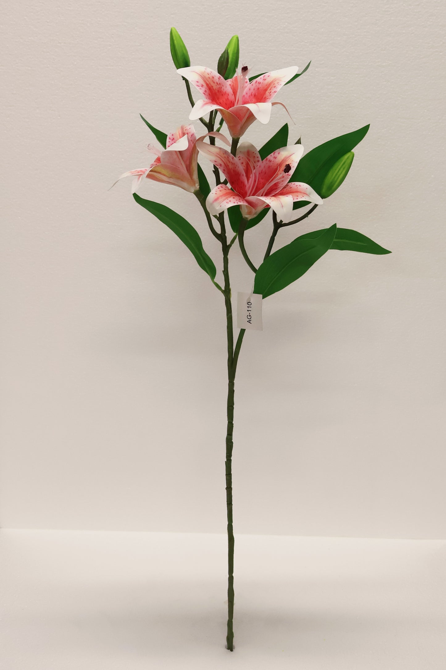 LILY — 30.3" (77 cm)