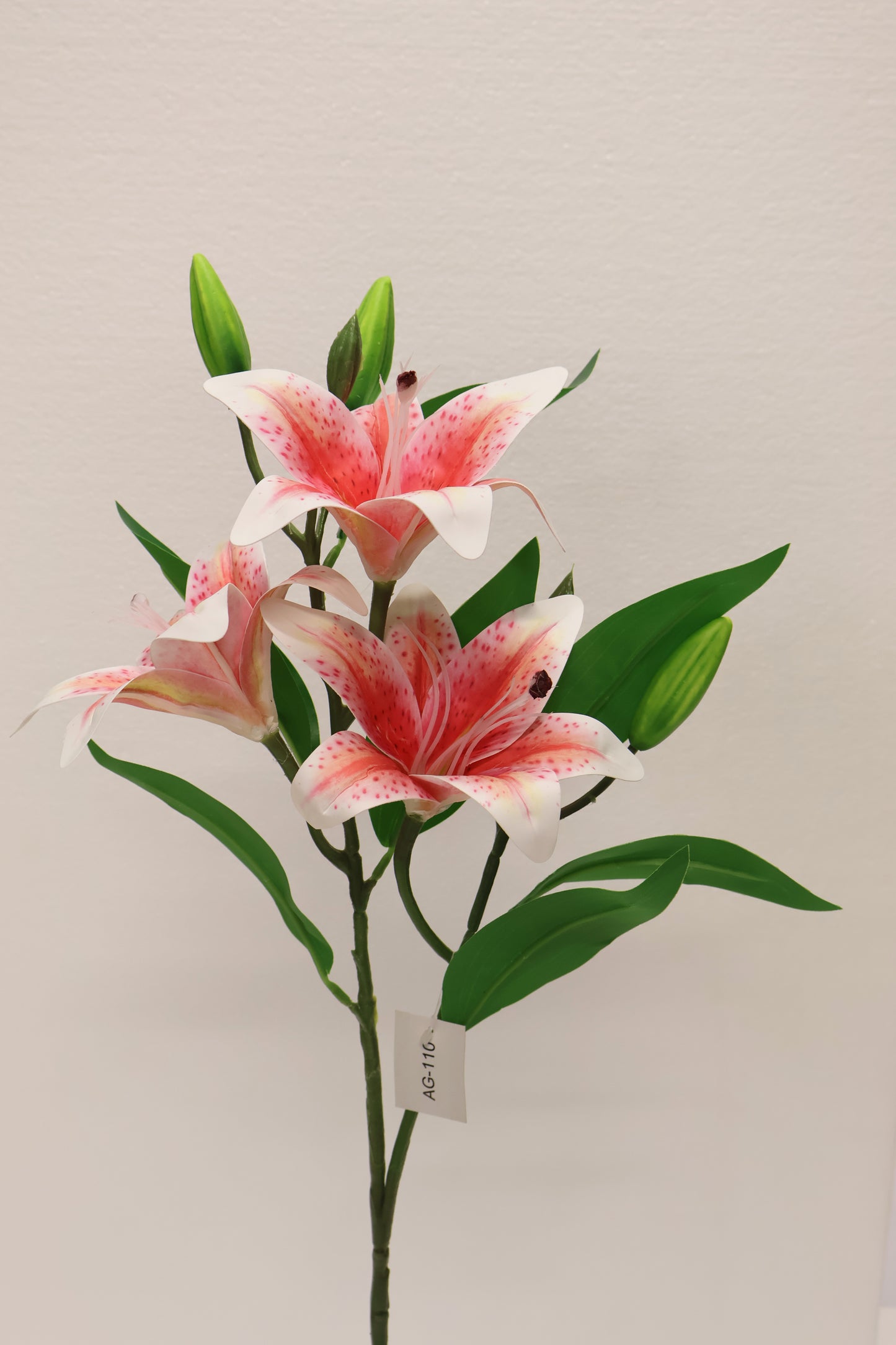 LILY — 30.3" (77 cm)