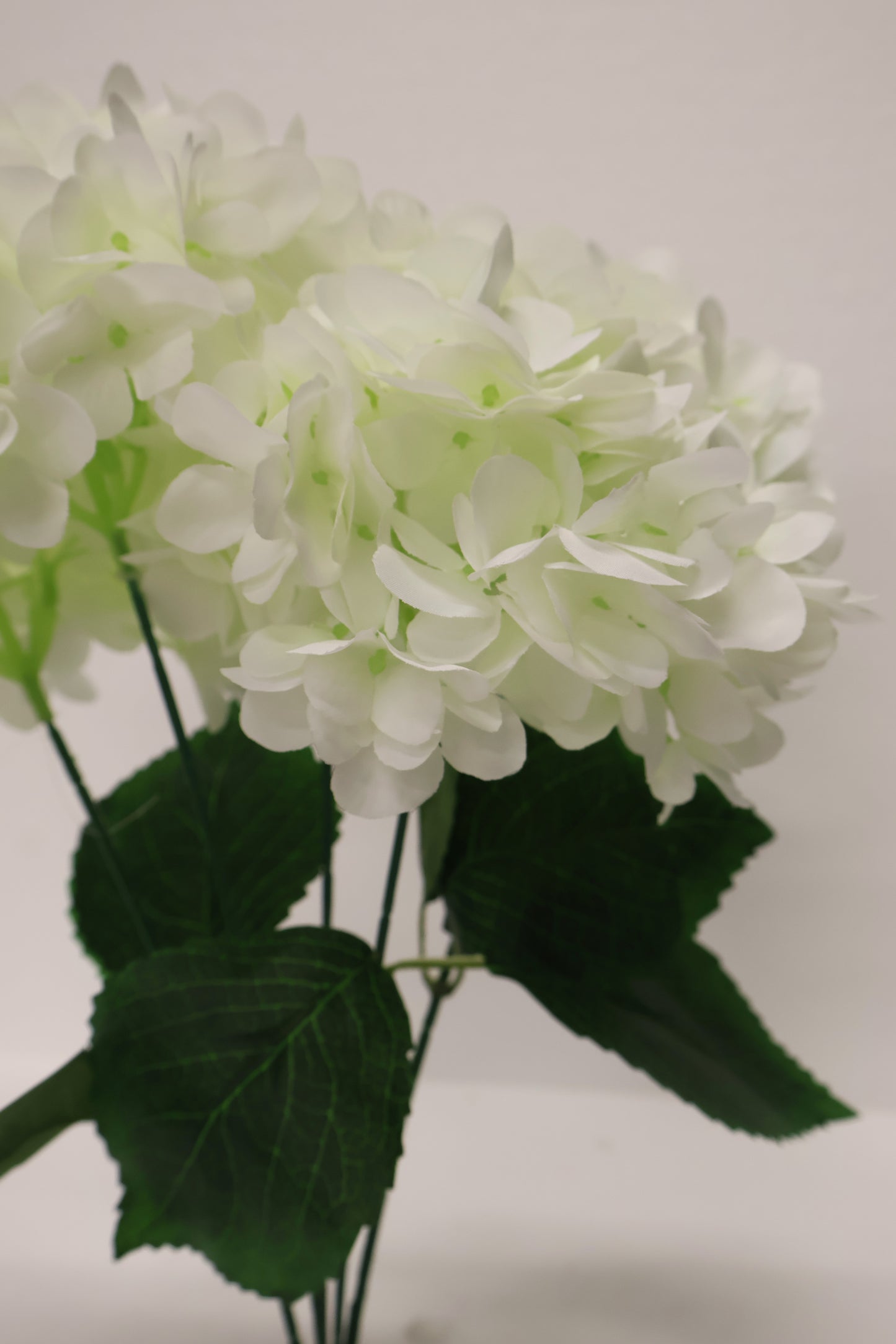 HYDRANGEA — 17.7" (45 cm)