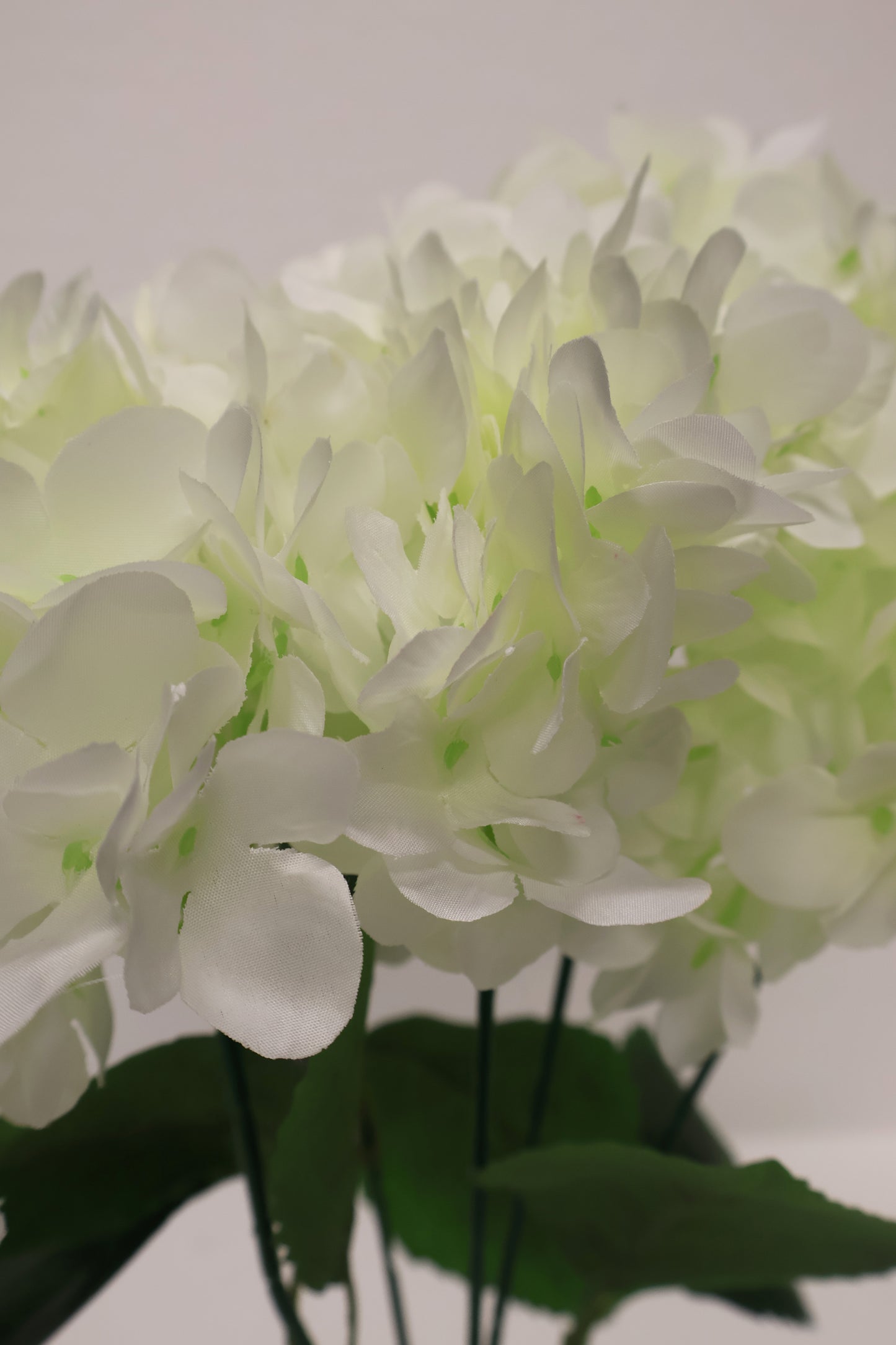 HYDRANGEA — 17.7" (45 cm)