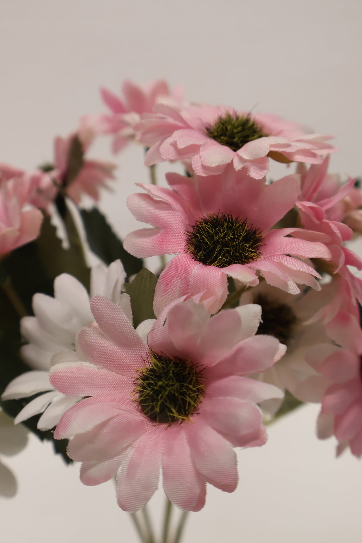 DAISY — 11.0" (28 cm)