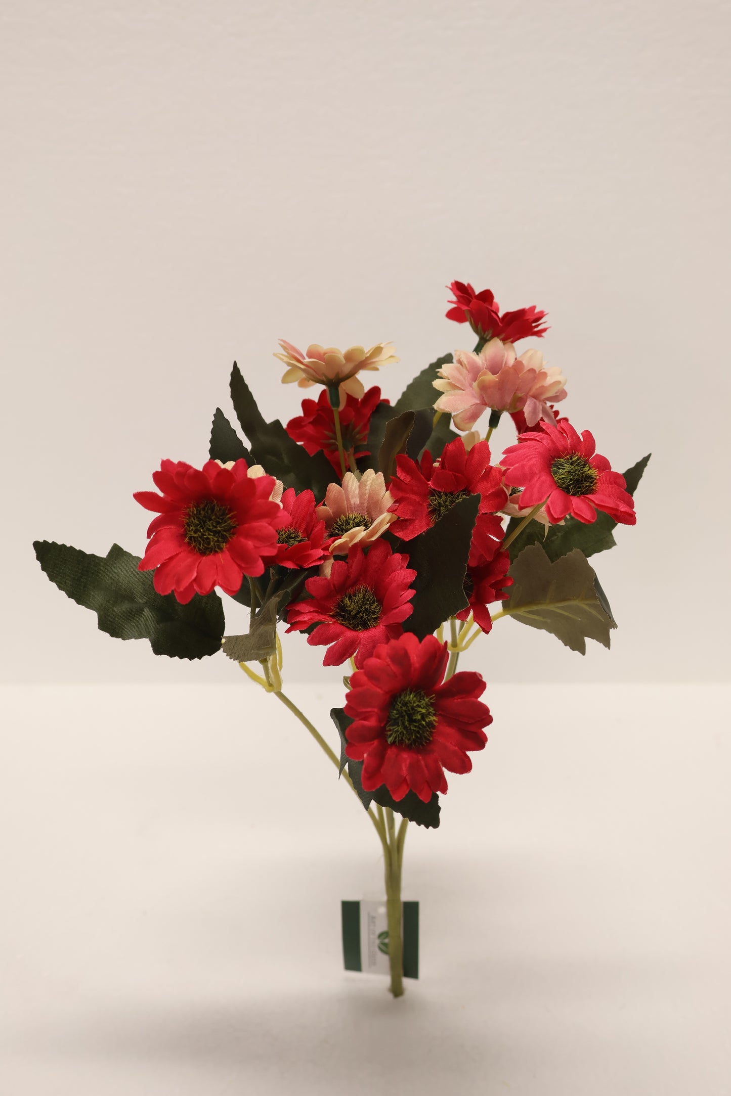 DAISY — 11.0" (28 cm)