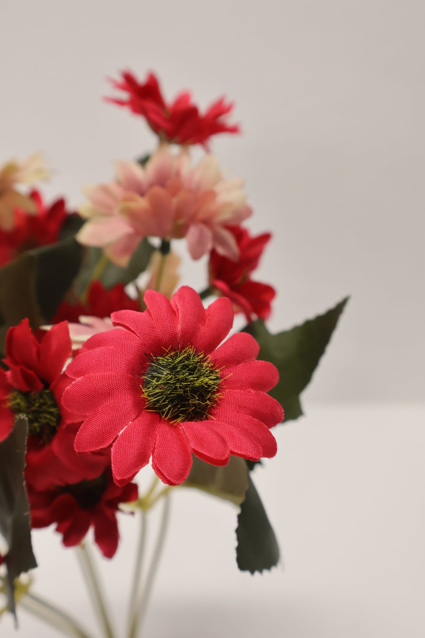 DAISY — 11.0" (28 cm)