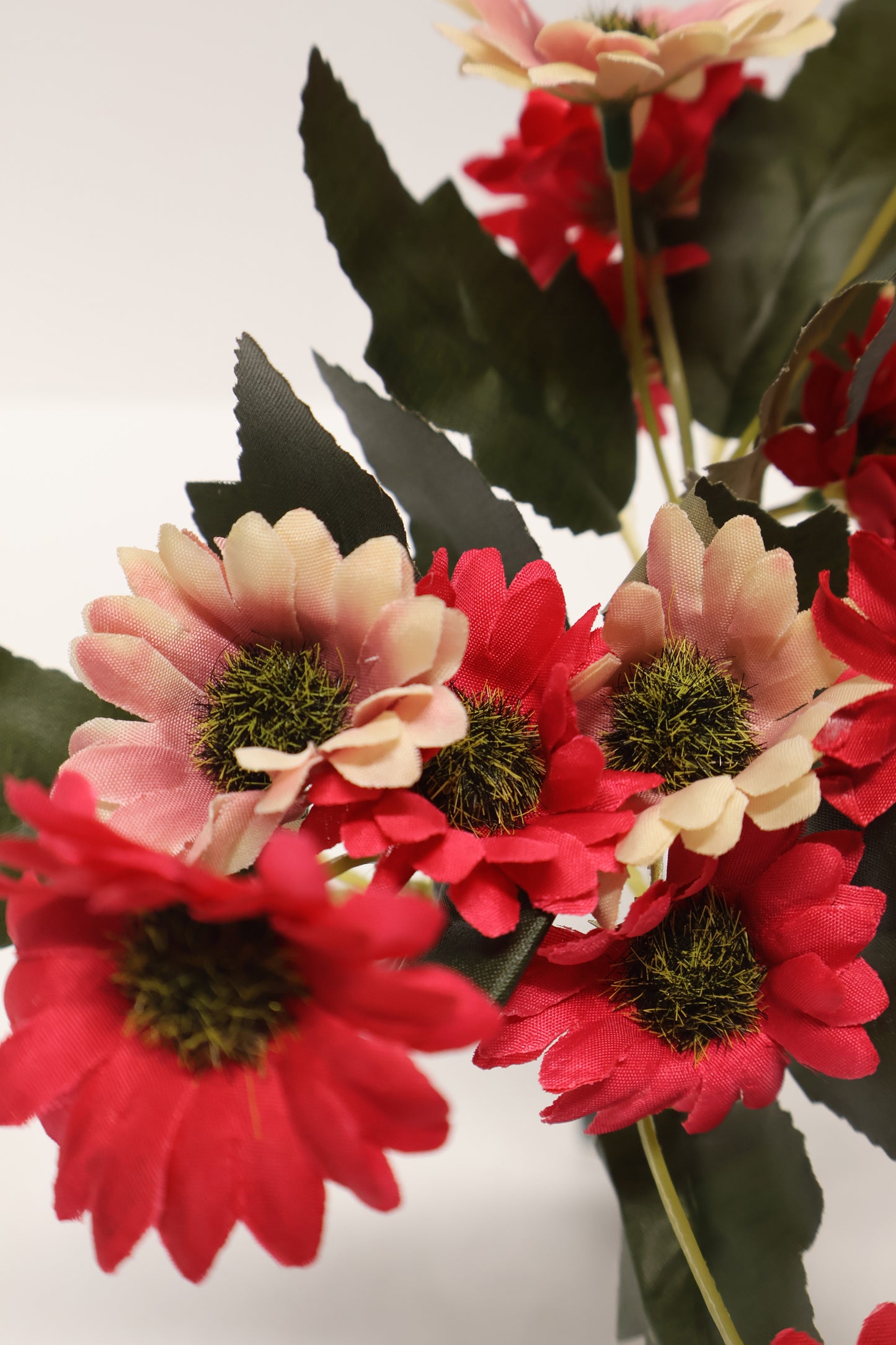 DAISY — 11.0" (28 cm)