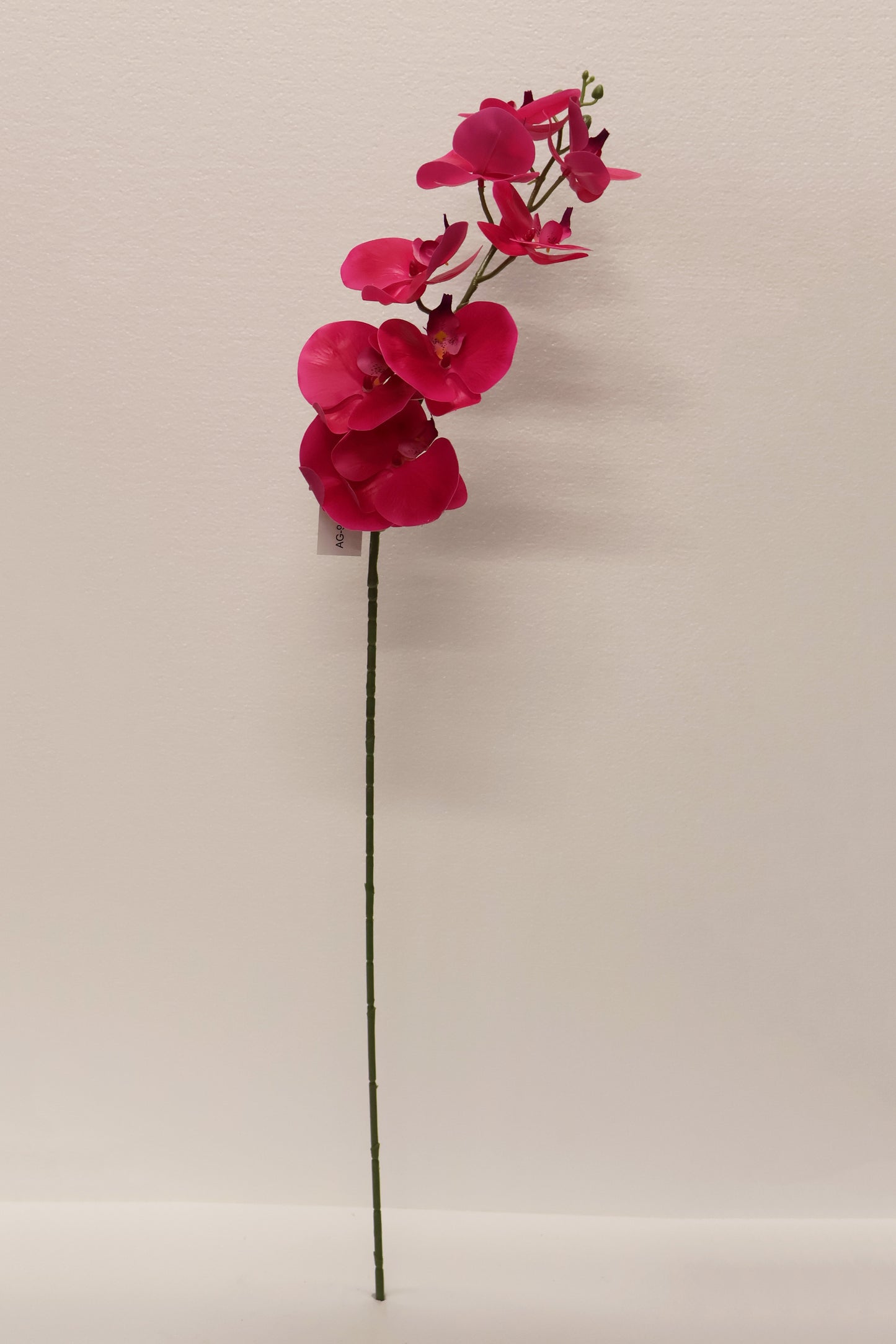 SINGLE ORCHID — 40.2" (102 cm)