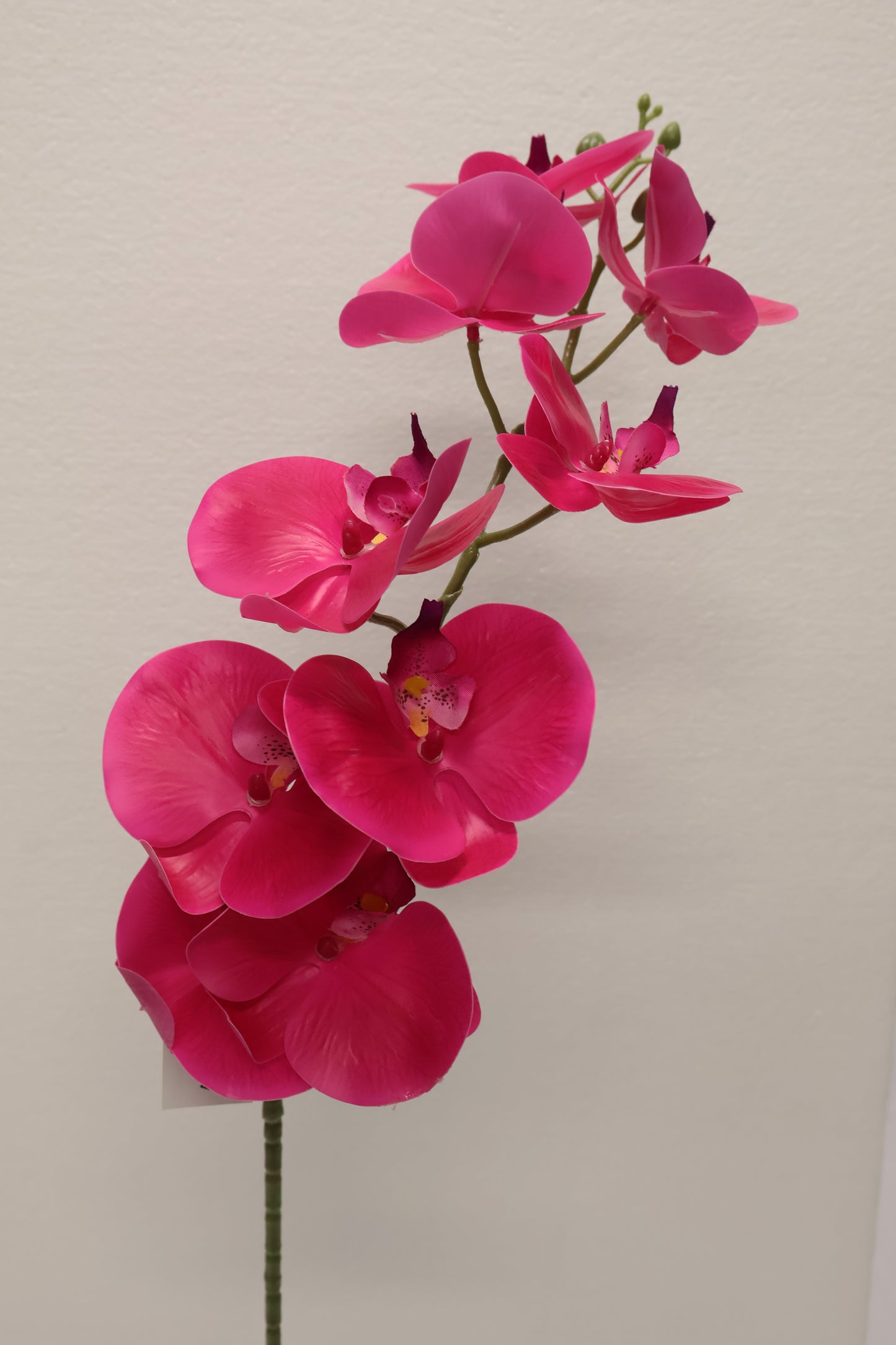 SINGLE ORCHID — 40.2" (102 cm)