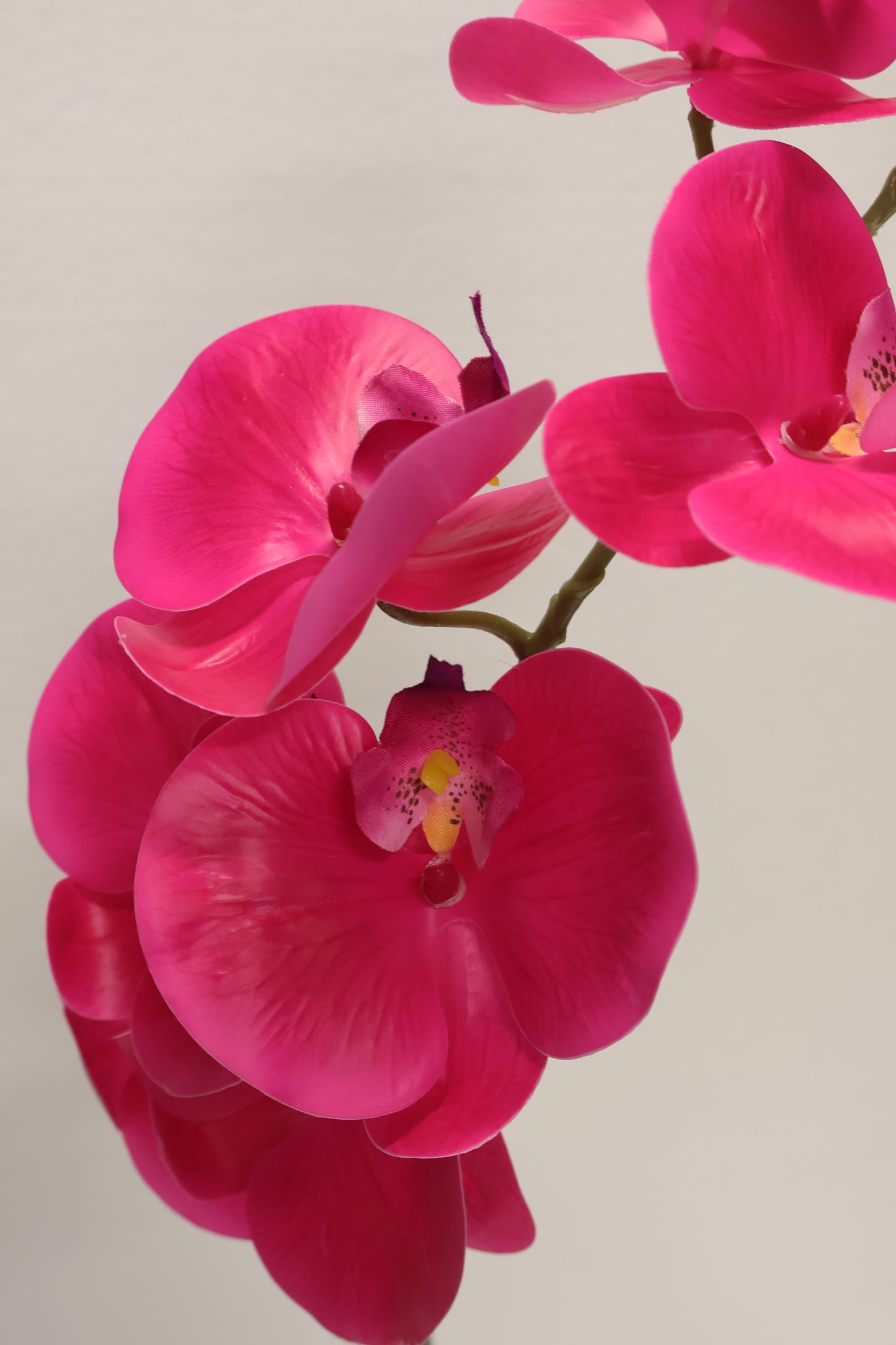 SINGLE ORCHID — 40.2" (102 cm)