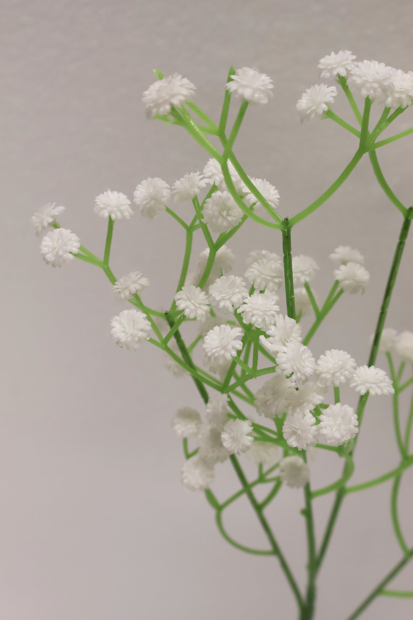 BABY BREATH — 24.0" (61 cm)