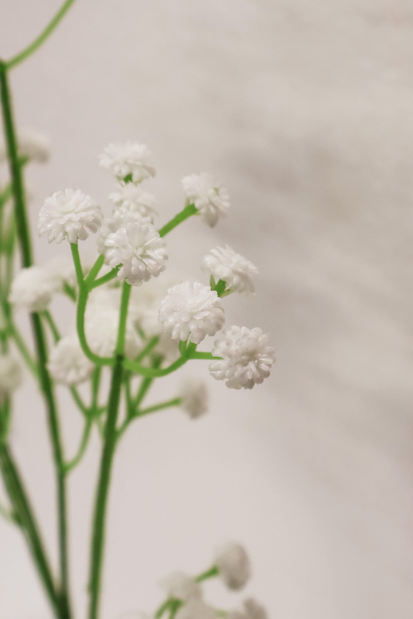 BABY BREATH — 24.0" (61 cm)