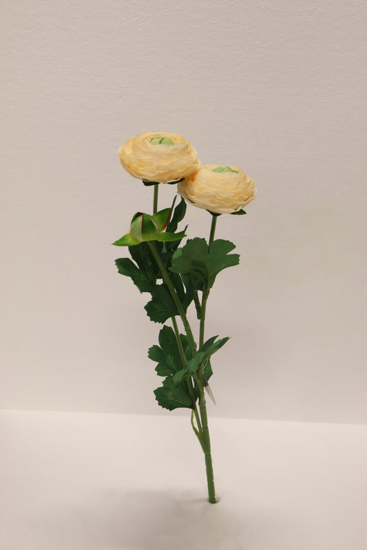 RANUNCULUS — 19.3" (49 cm)
