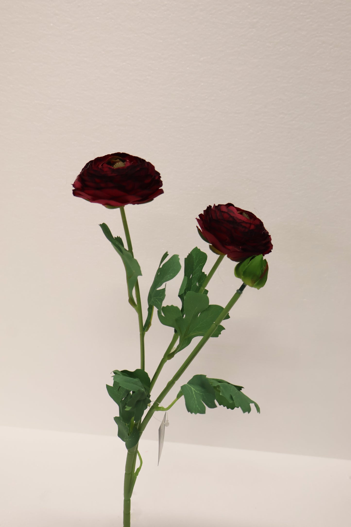 RANUNCULUS — 19.3" (49 cm)
