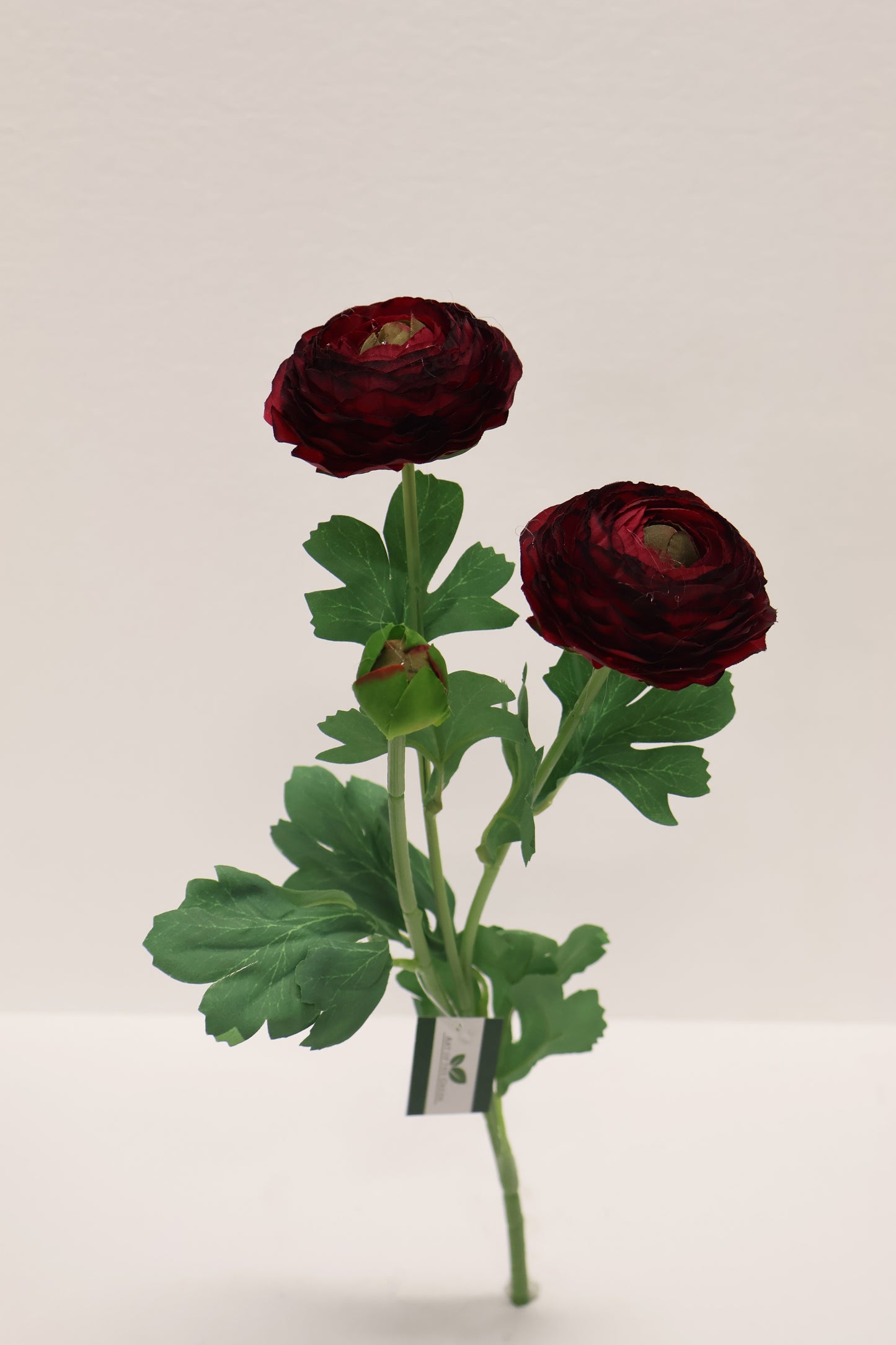 RANUNCULUS — 19.3" (49 cm)