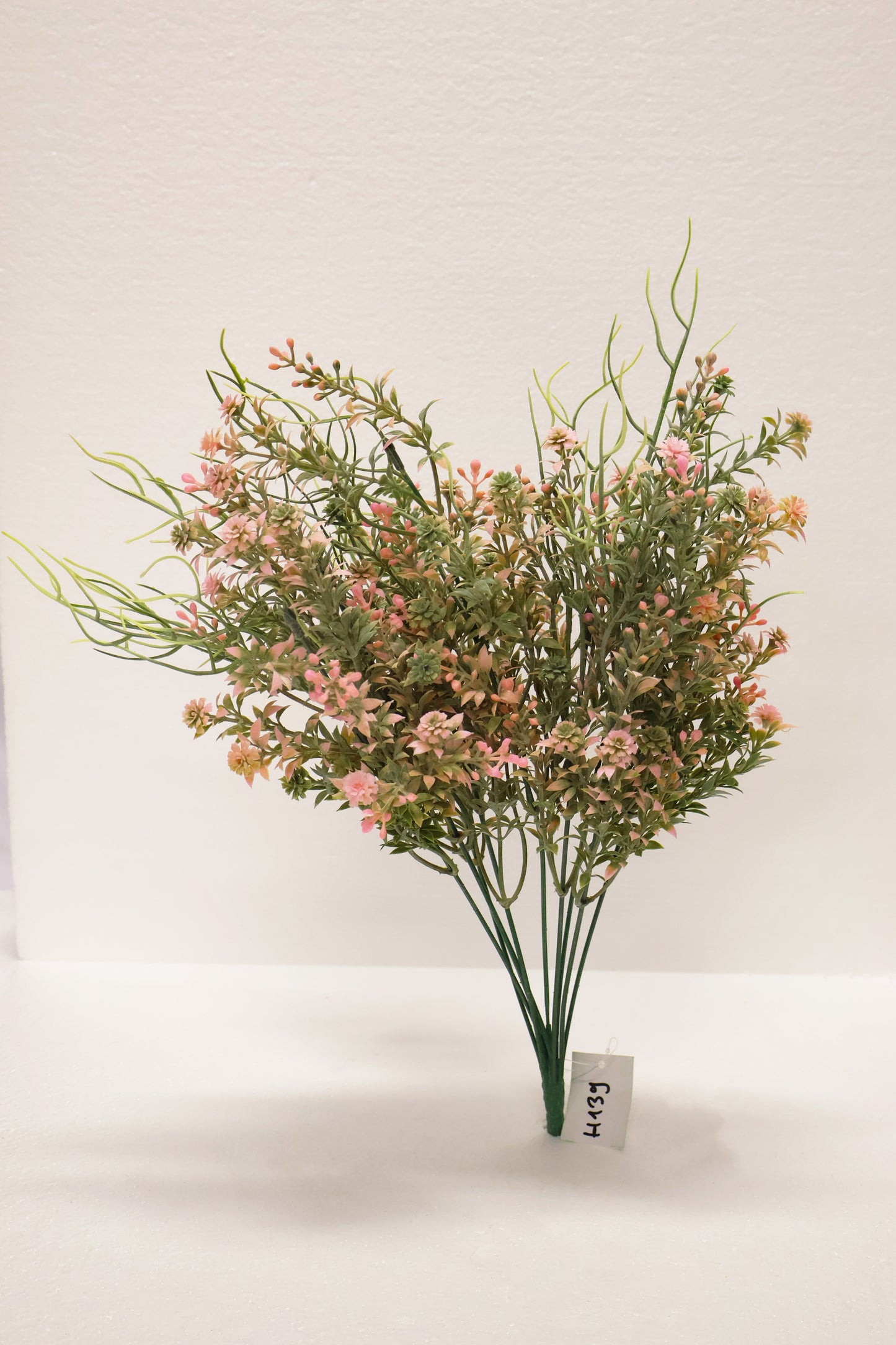 DOUBLE WAXFLOWER BUSH (CHAMELAUCIUM) — 18" (46 cm)