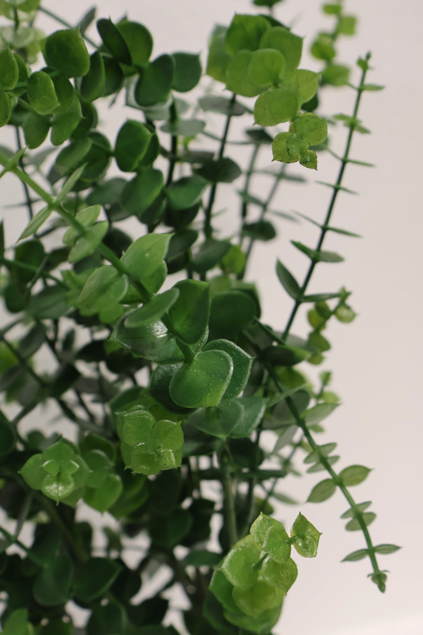 ARTIFICIAL EUCALYPTUS BUSH — 24" (61 cm)
