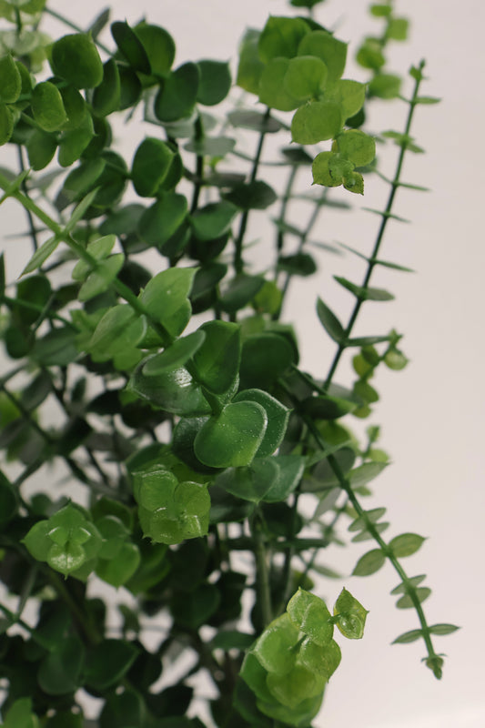 ARTIFICIAL EUCALYPTUS BUSH — 24" (61 cm)