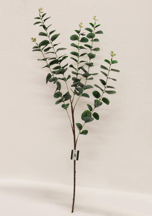 EUCALYPTUS — 36.6" (93 cm)