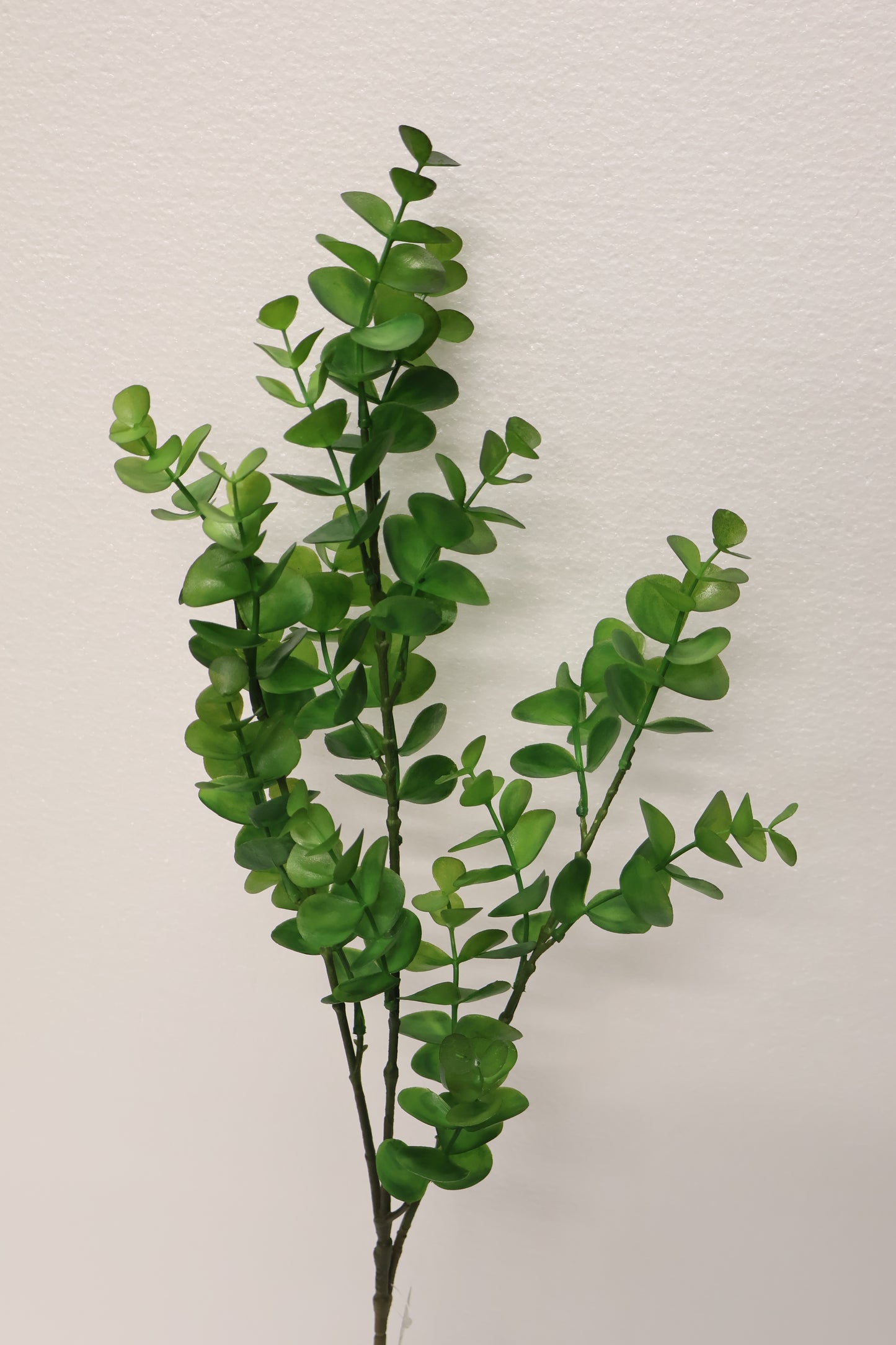 EUCALYPTUS SPRAY — 34" (86 cm)