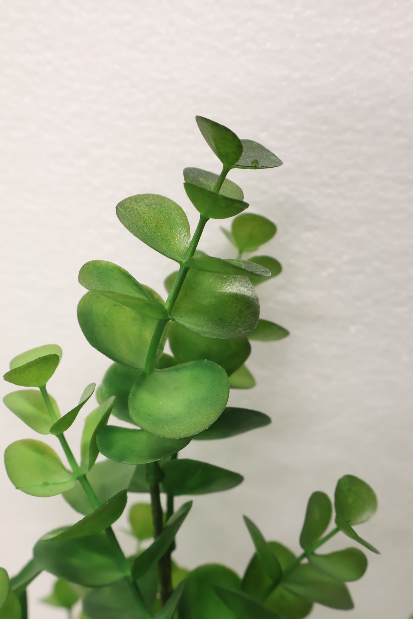 EUCALYPTUS SPRAY — 34" (86 cm)